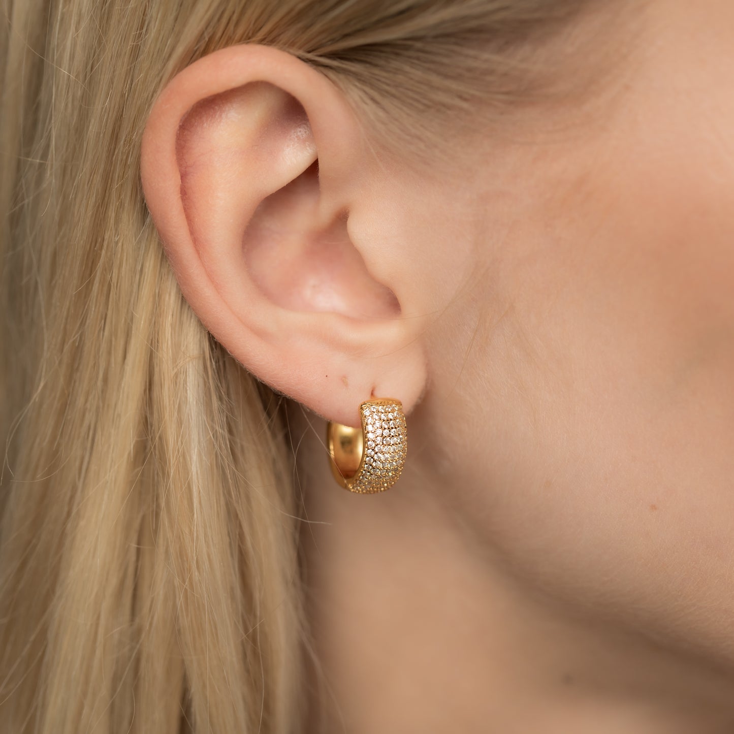 Lets go any were Örhängen