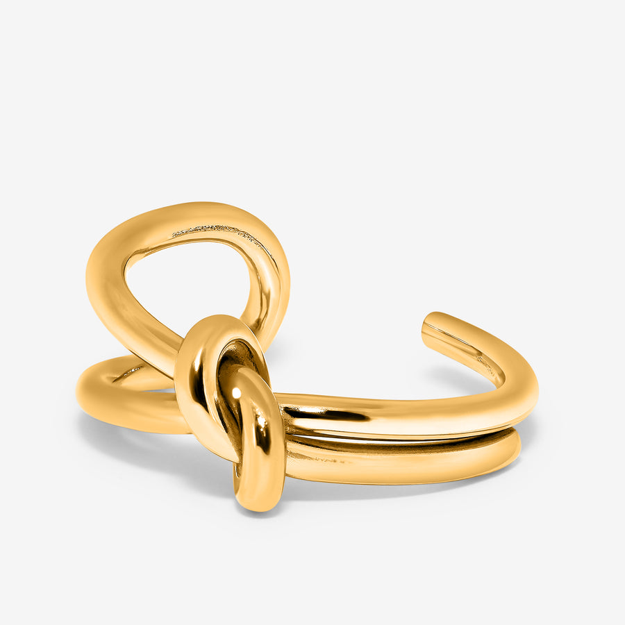 Anillo de amistad
